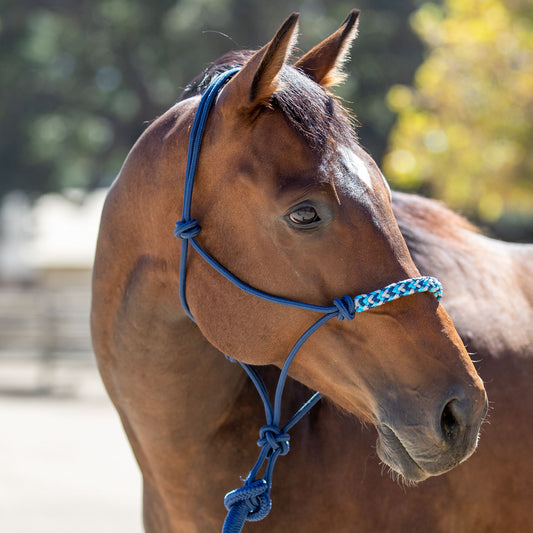 Clinician Rope Halter by Kensington Protective Products
