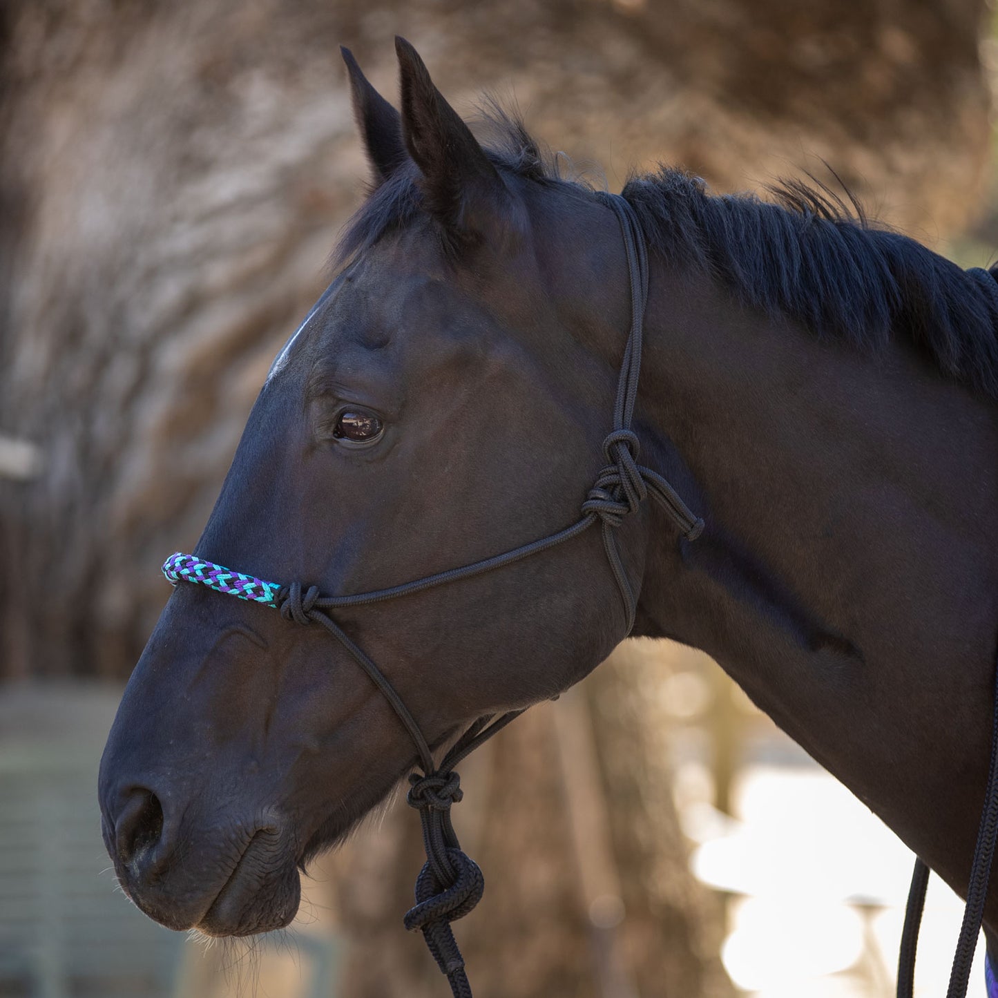 Clinician Rope Halter by Kensington Protective Products