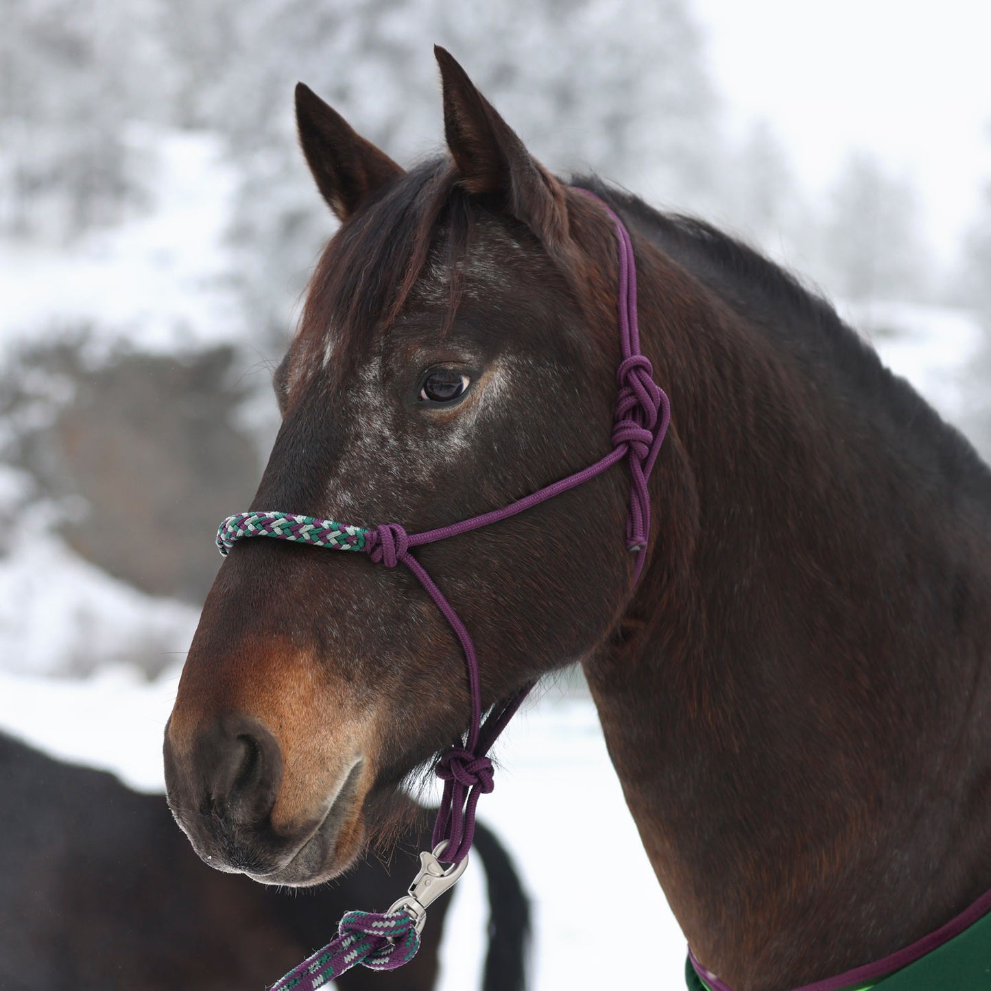 Clinician Rope Halter by Kensington Protective Products