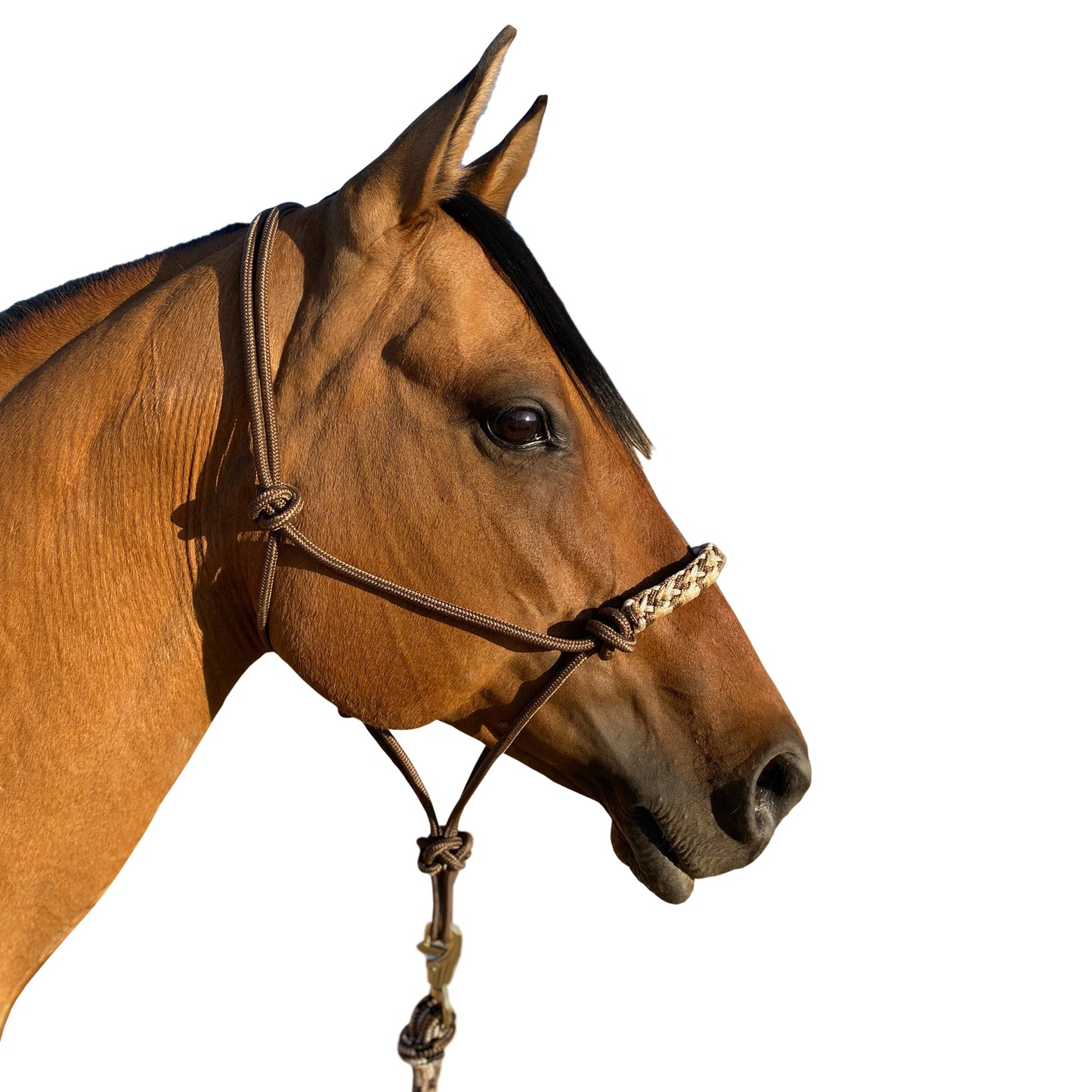 Clinician Rope Halter by Kensington Protective Products
