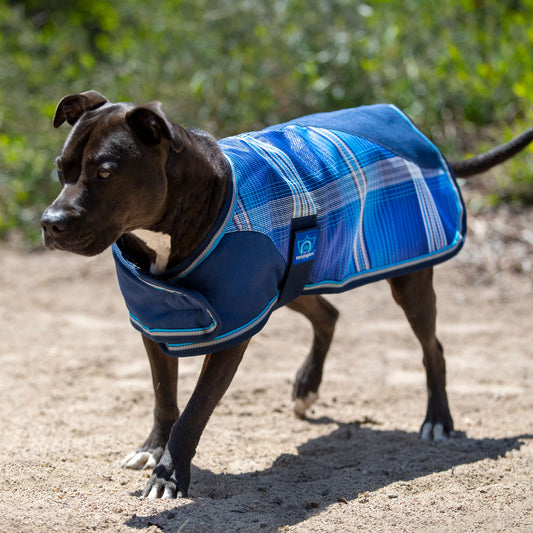 Medium Weight Waterproof Textilene Dog Coat