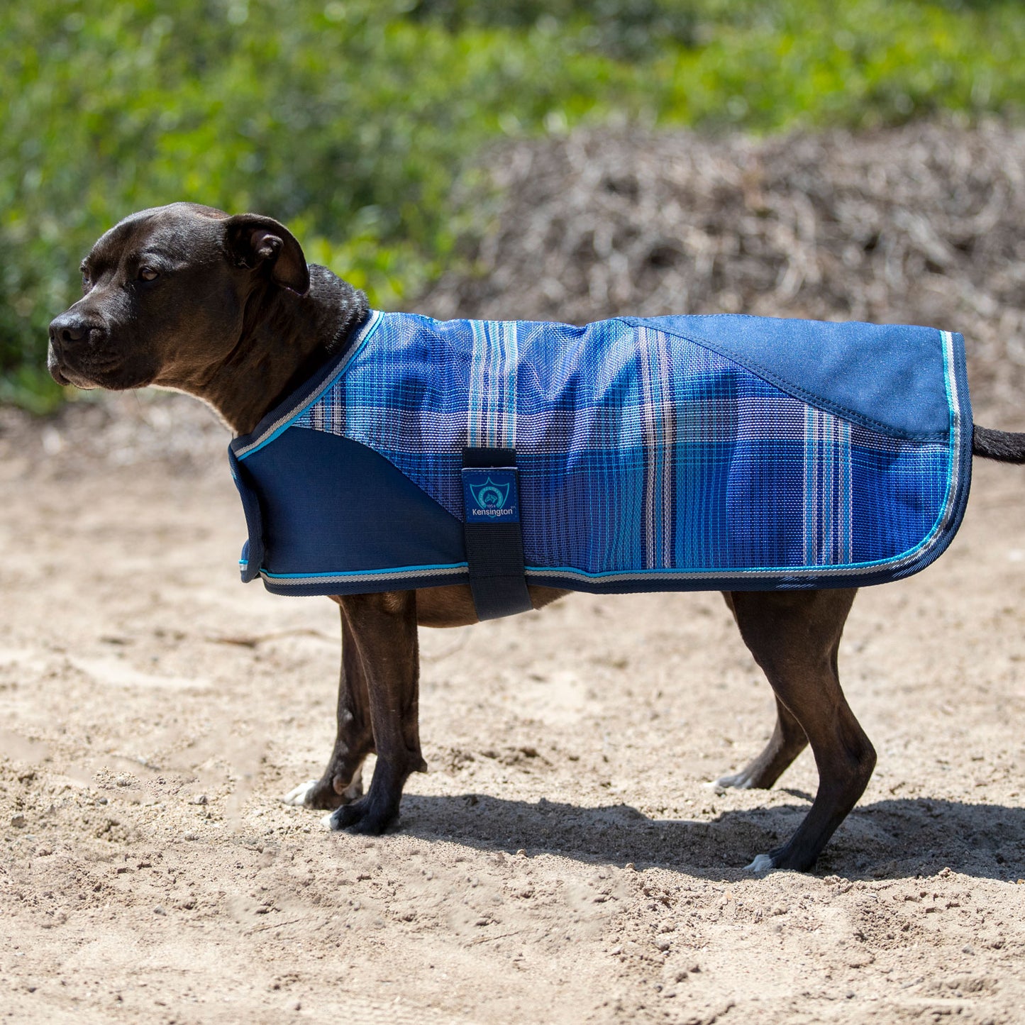 Medium Weight Waterproof Textilene Dog Coat