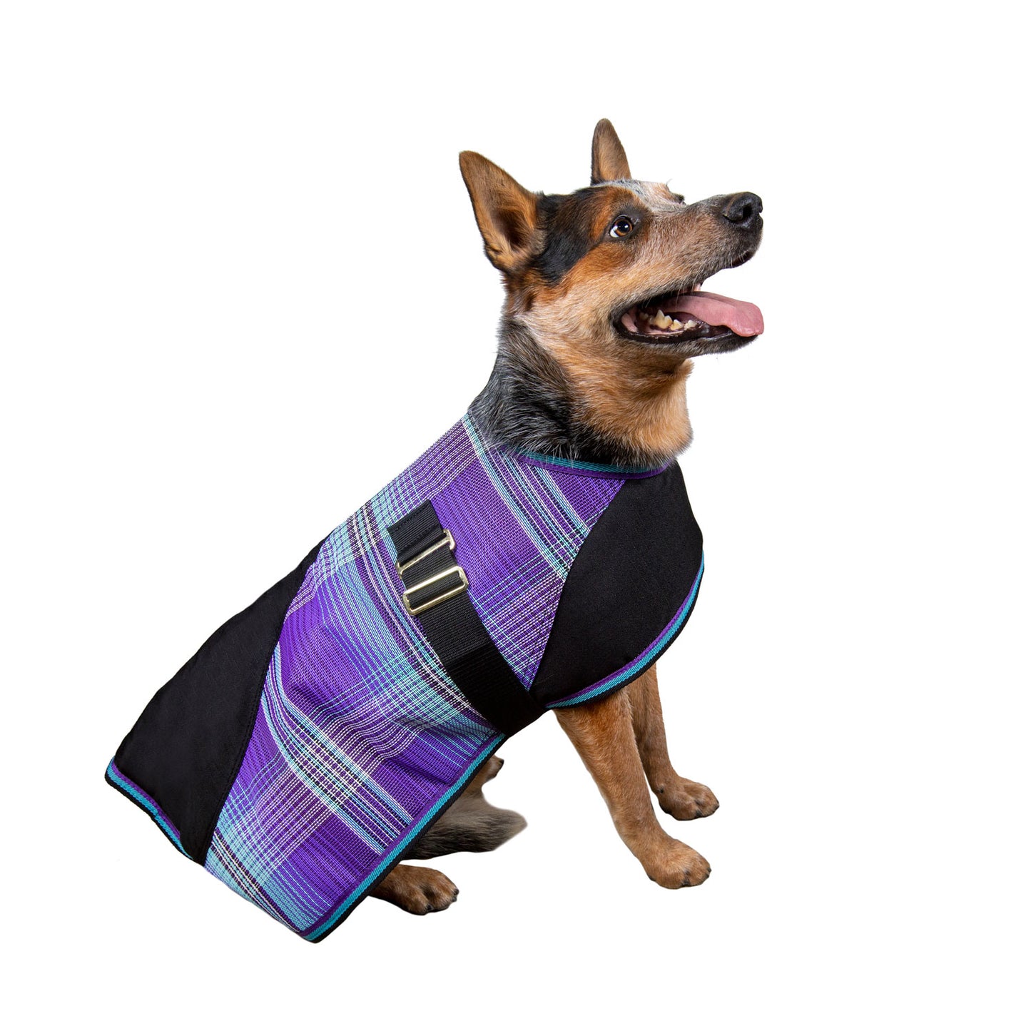 Medium Weight Waterproof Textilene Dog Coat