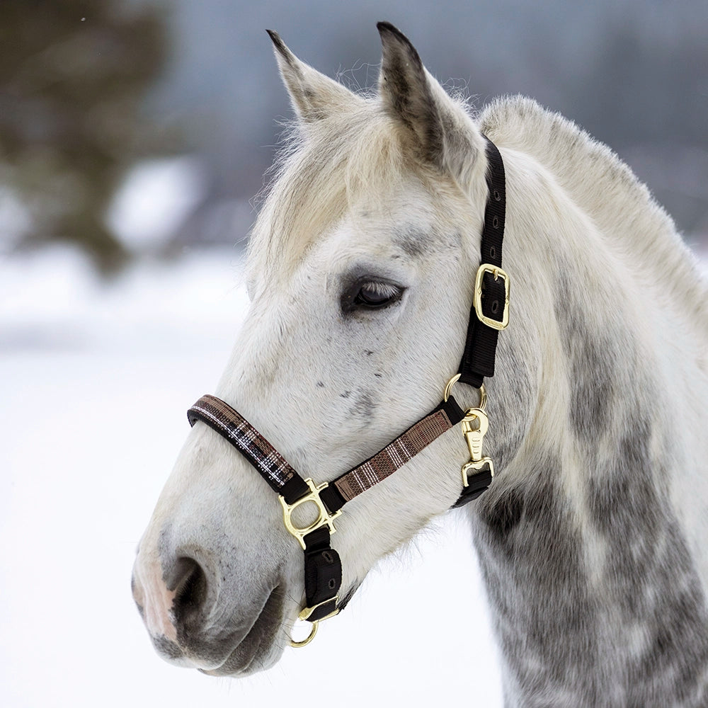 Premium Nylon Halter by Kensington Protective Products