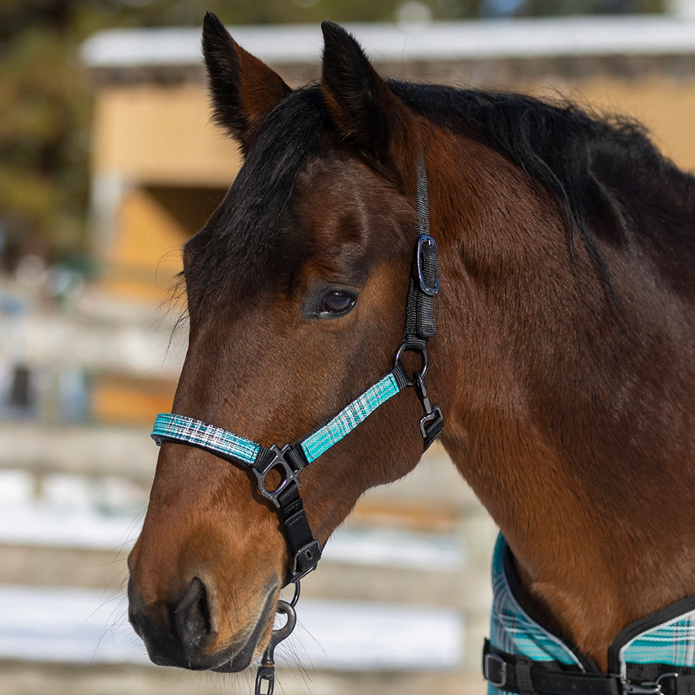 Premium Nylon Halter by Kensington Protective Products