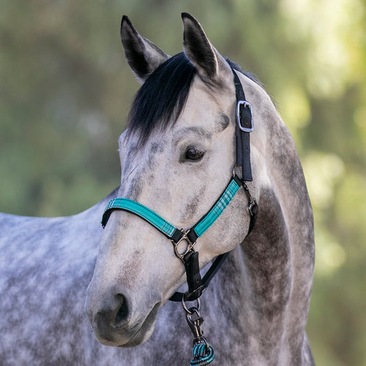 Premium Nylon Halter by Kensington Protective Products