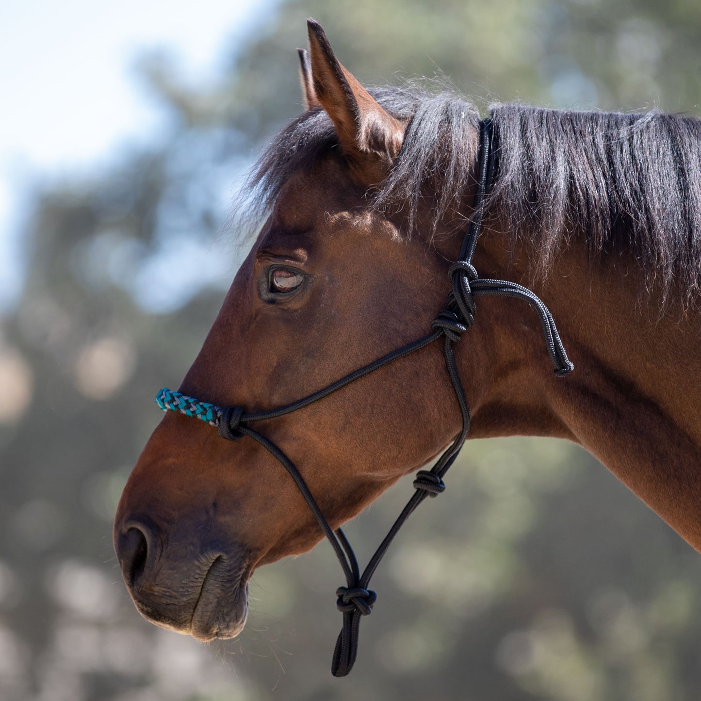 Clinician Rope Halter by Kensington Protective Products