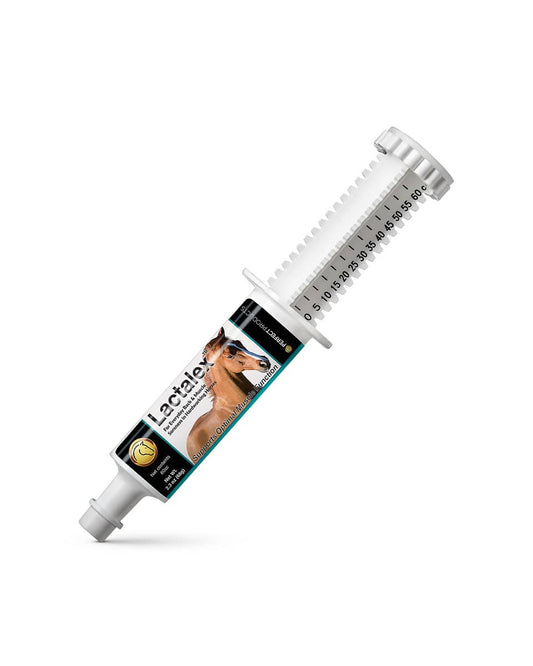 Lactalex Paste - Muscle Function & Recovery