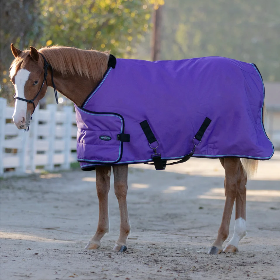 180G Medium Weight Adjustable Yearling Winter Turnout Blanket