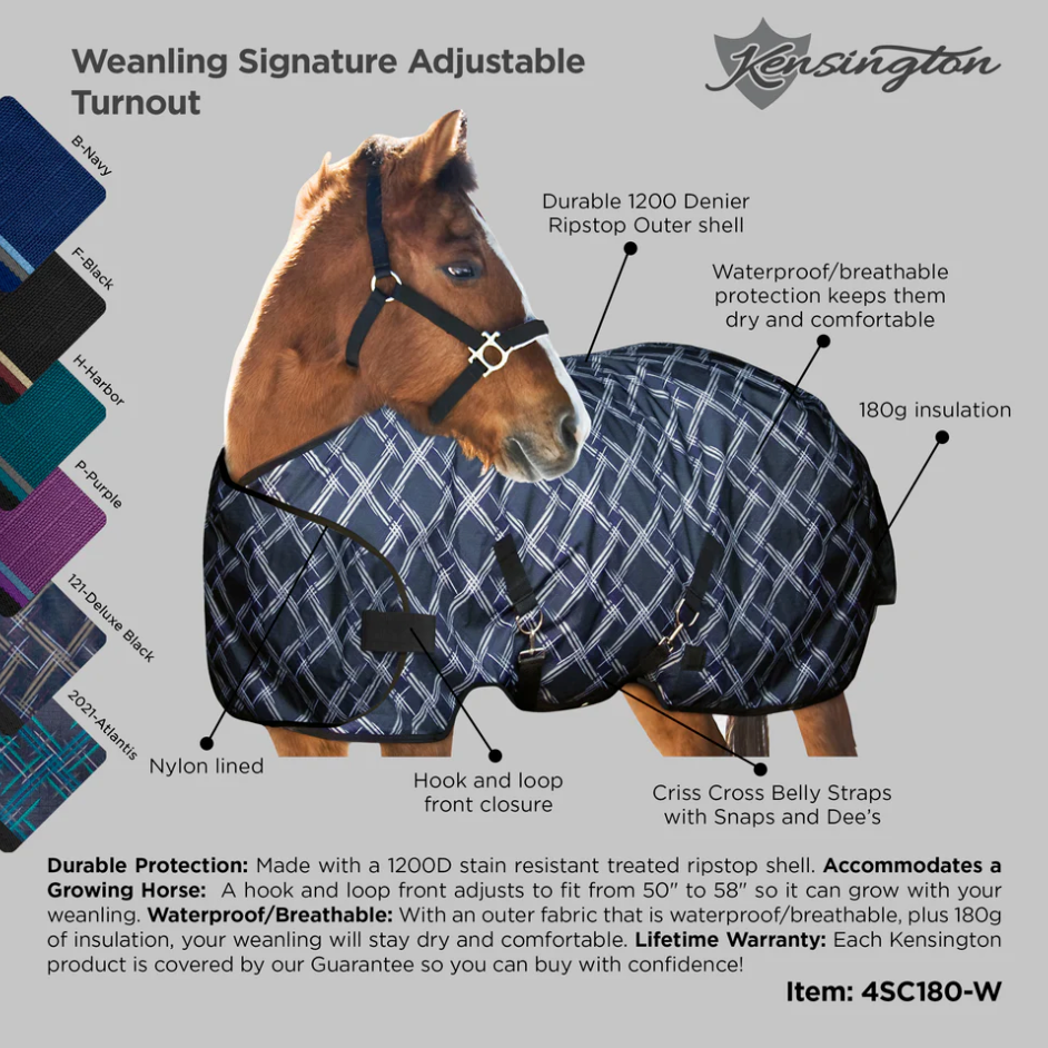 180G Medium Weight Adjustable Yearling Winter Turnout Blanket