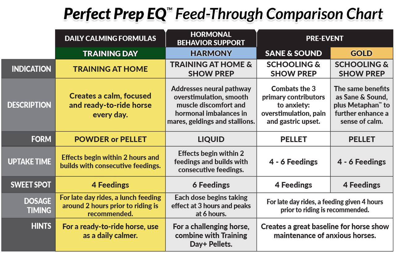 Perfect Prep Training Day Powder