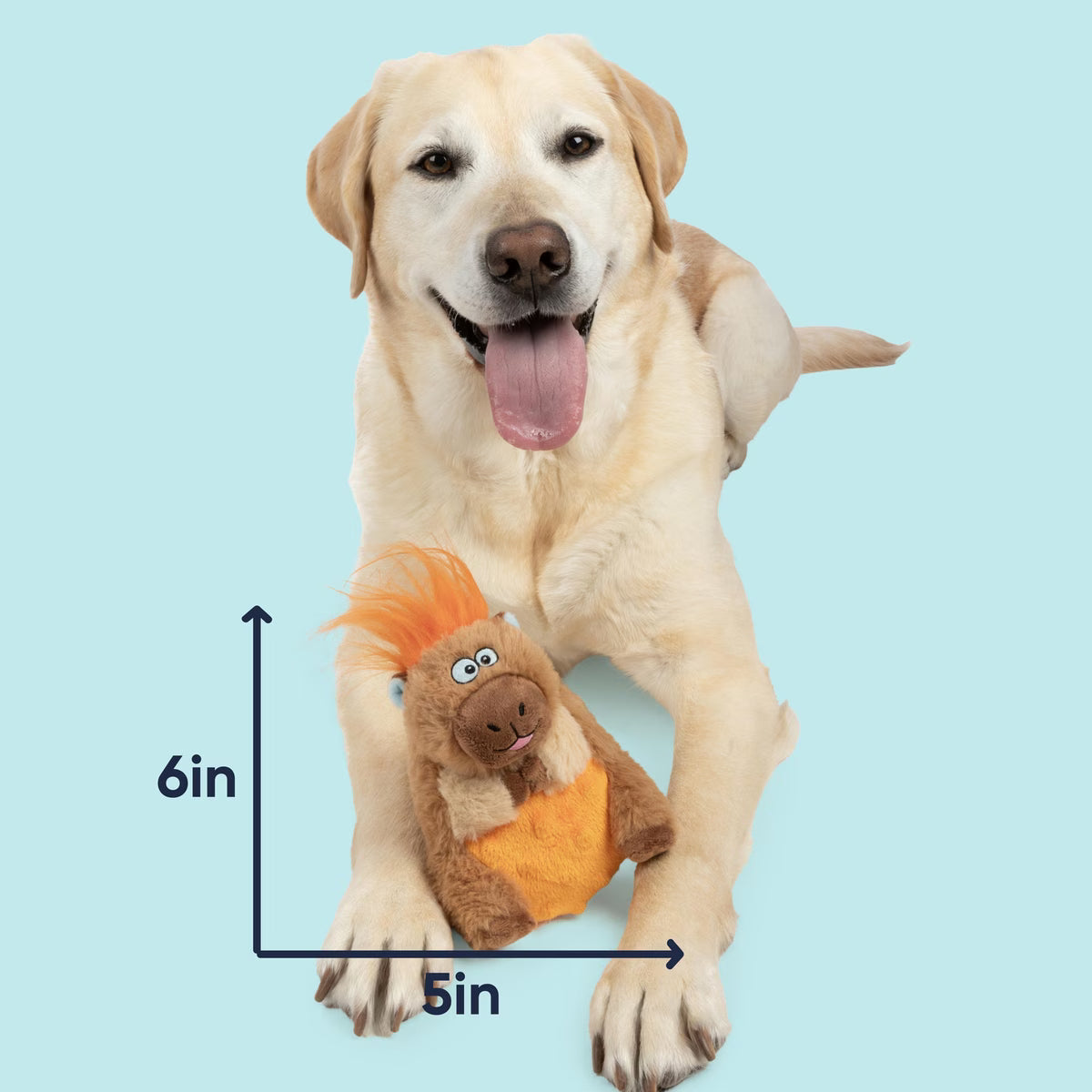 GoDog Silent Squeak Capybara Chew Dog Toy, Brown/Orange, Medium