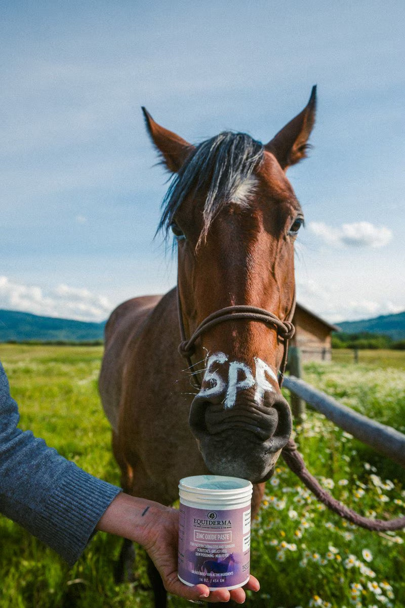 Zinc Oxide Horse Sunscreen & Skin Care Paste