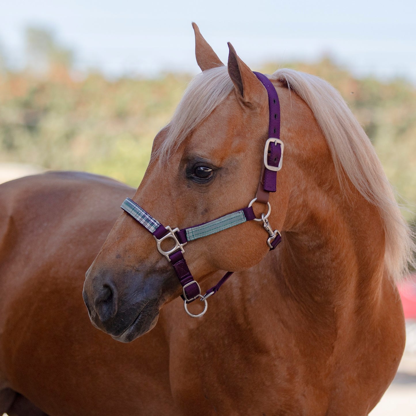Premium Nylon Breakaway Halter by Kensington Protective Products