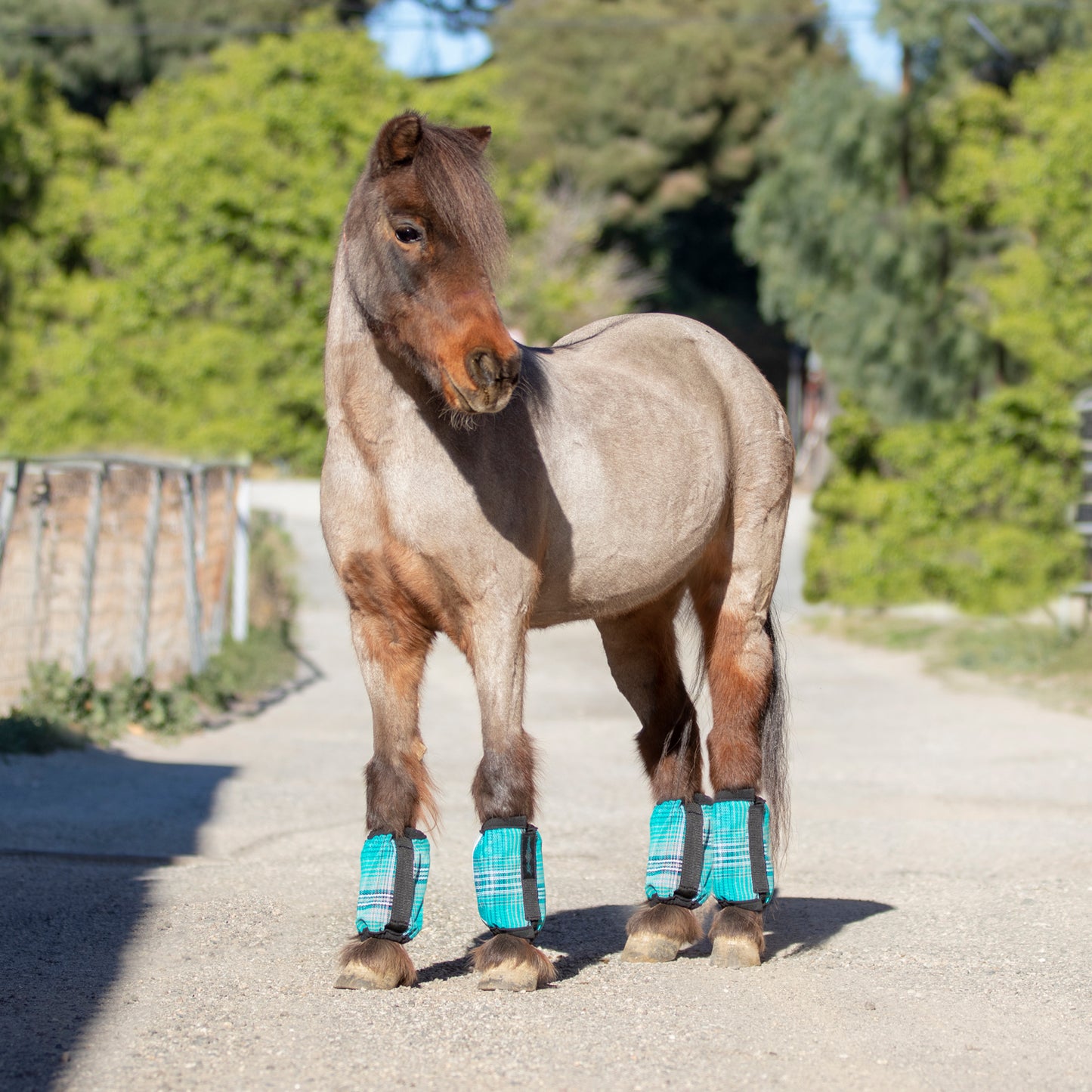73% UV Pony Bubble Fly Boots "Set of 4"